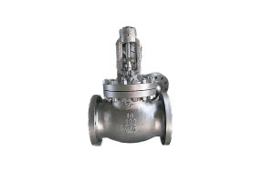 Globe Valve